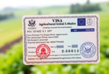 visa de trabajo agrícola