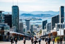 Visa Sponsorship in Wellington