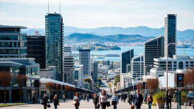 Visa Sponsorship in Wellington
